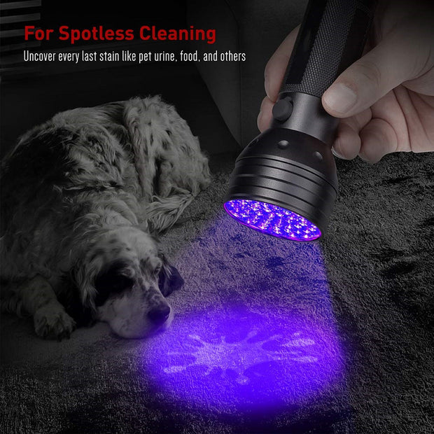 Ultraviolet Black Light Flashlight